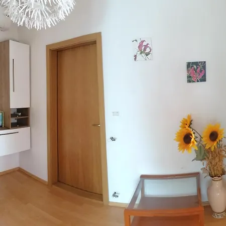 House Manola Rovigno